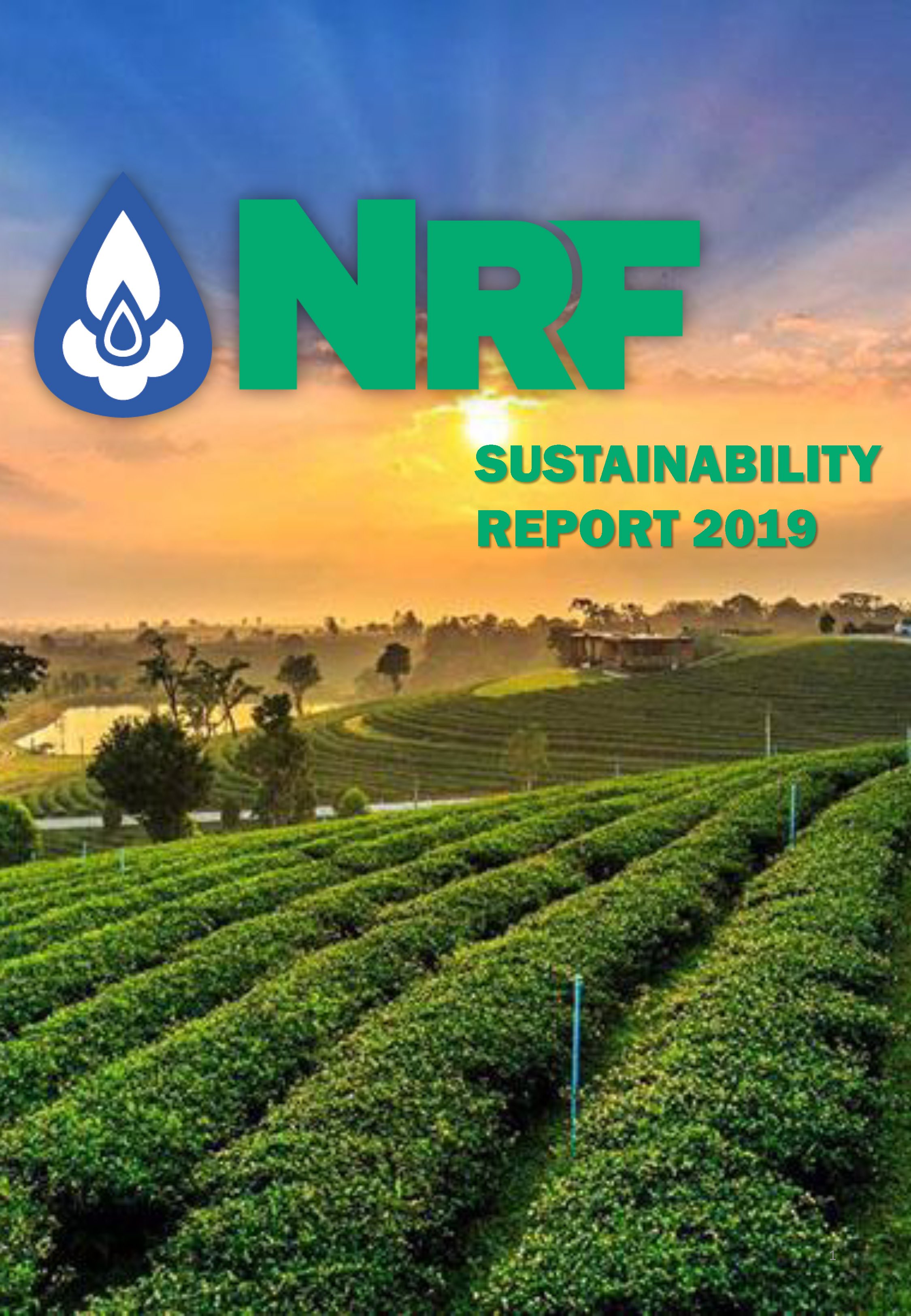 Sustainability Report 2019